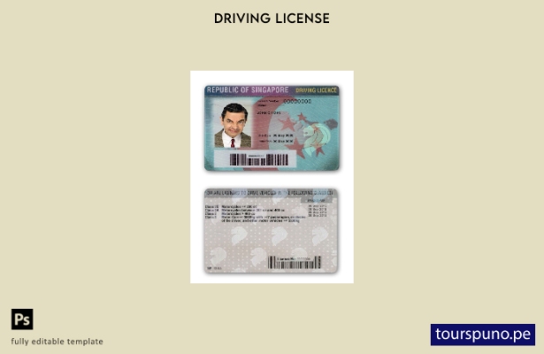 Plantilla de licencia de conducir de Singapur lista para imprimir